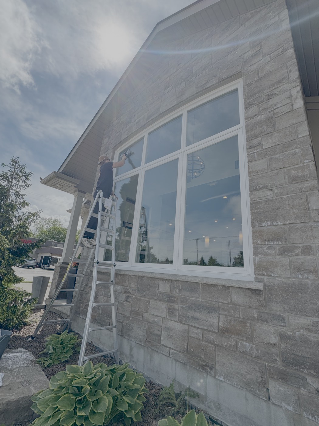 Northend Cleaning Services team member washing an exterior window on a ladder